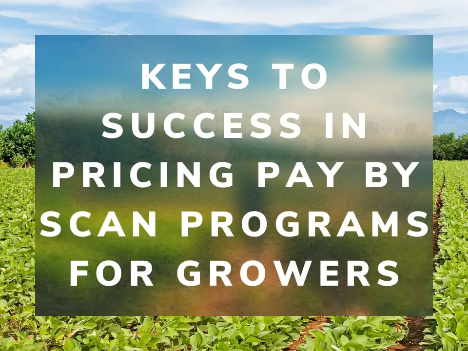 Keys To Success In Pricing Pay By Scan Programs For Growers
