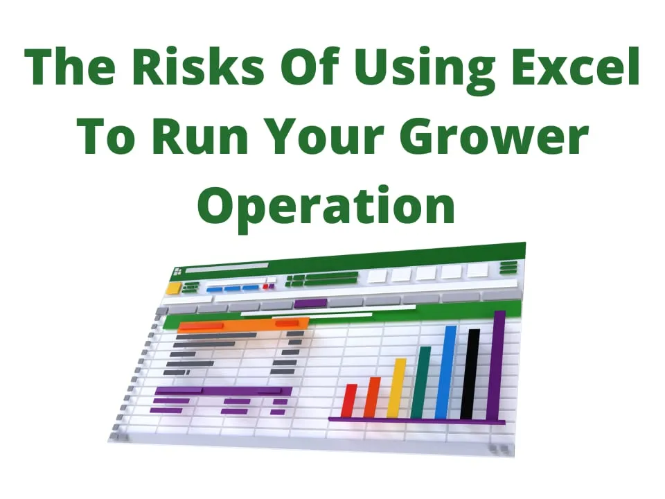 The Risks Of Using Excel To Run Your Grower Operation